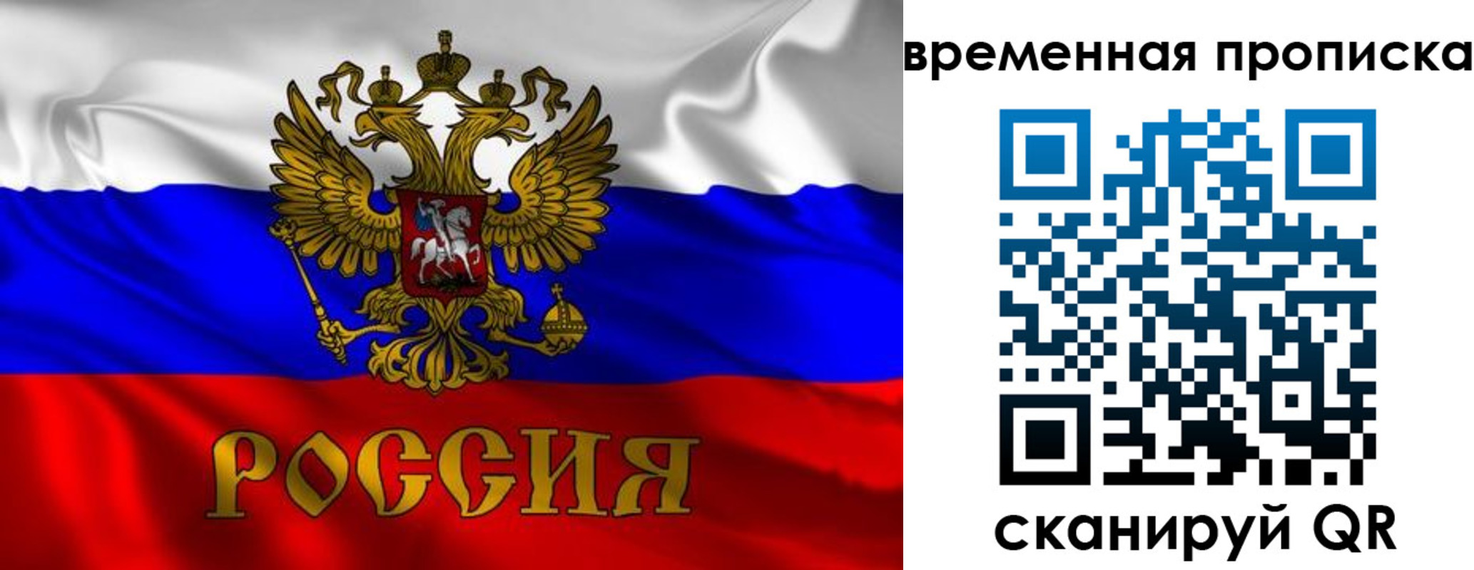 прописка законно в Елизово
